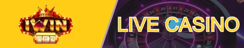 Live Casino